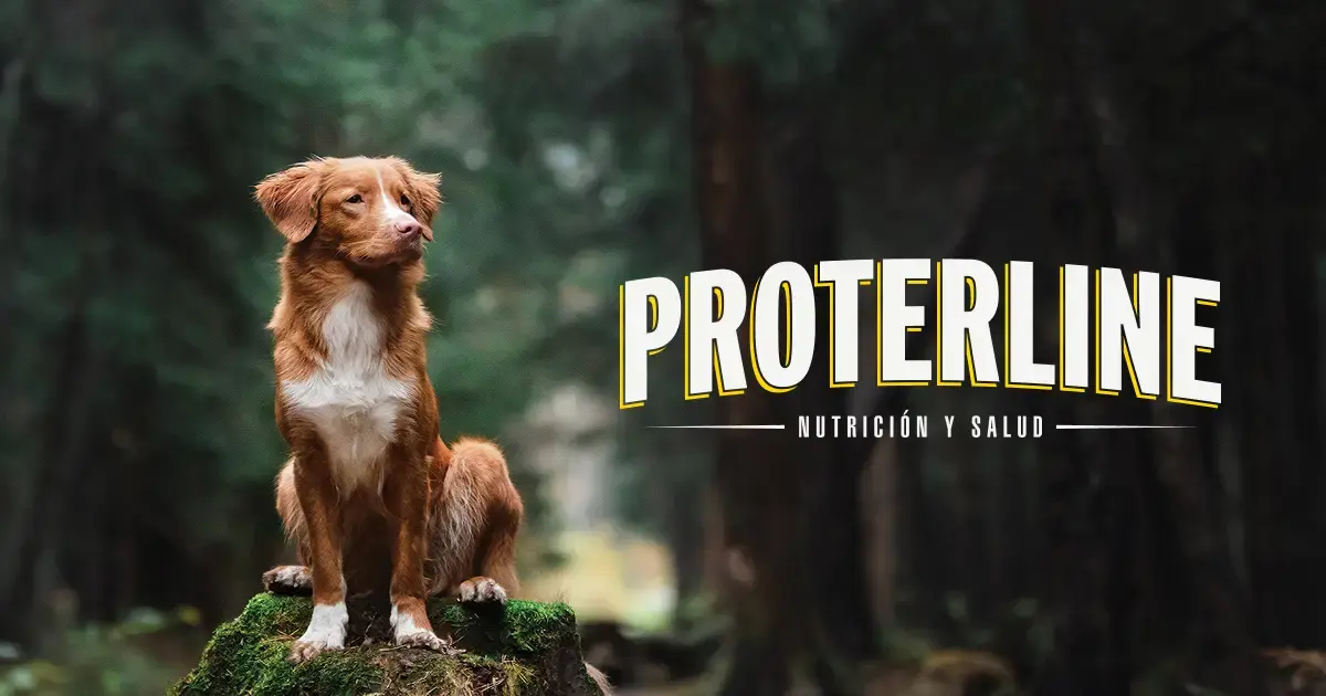 proterline project